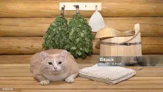 揭秘长沙桑拿的多元魅力：桑拿类型全解析与养生功效 图片