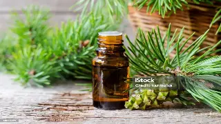 对话行业领袖:揭秘长沙桑拿按摩行业的创新与未来 图片