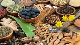 震惊！按摩行业大佬竟是这样炼成的？深度揭秘成功背后的辛酸与坚持！