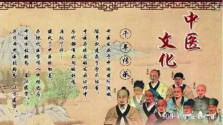 千年湖湘，一脉传承：长沙按摩养生背后的文化密码