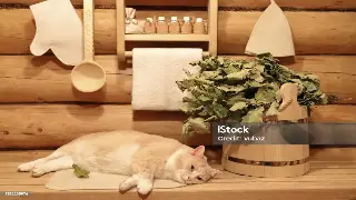 对话养生泰斗：揭秘中式按摩的千年智慧，现代人如何焕发新生？