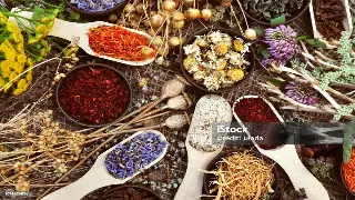 湘女风情：揭秘古代名医的养生智慧与长沙传说