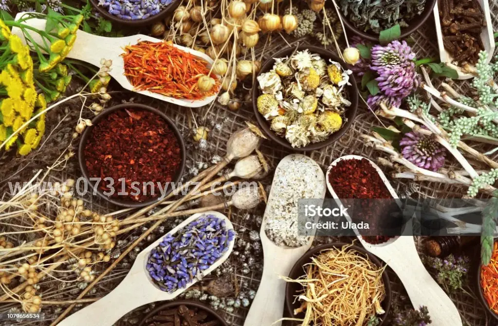 长沙老中医传承